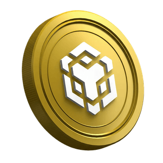 Binance BNB kripto para coinine yönelik yeni trader rehberinin sayfa görünümü